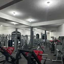Maximus Gym Upn