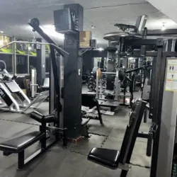 GM Nutrition & Fitness