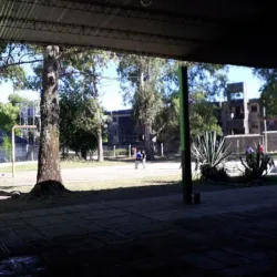 Escuela Rosas