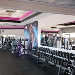 Trainer Gym Sanders
