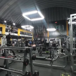 GYM 11:11