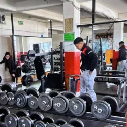 The Gym Power , La Curva