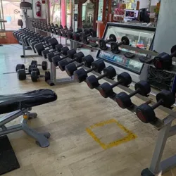 Ursus GYM