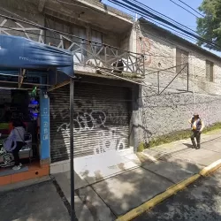 PAPELERIA LOS CHANGUITOS DE TOPILEJO