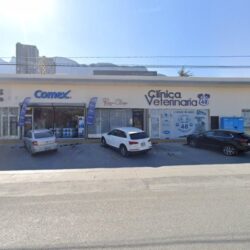 Abito Clean Tintorería
