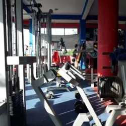 GYM VIKINGOS
