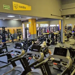 Gimnasio Smart Fit - Centro Maya