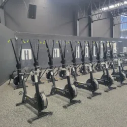 Hält Fitness