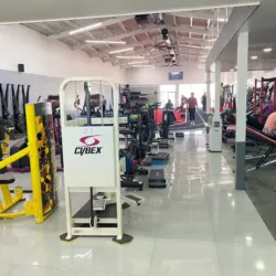 SPRINT FUNCTIONAL TRAINING By Chris Beltran