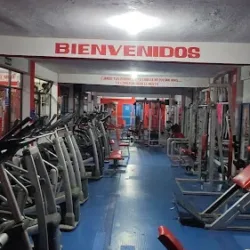 Forza Gym