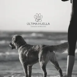 Crematorio de mascotas Última Huella (oficina)