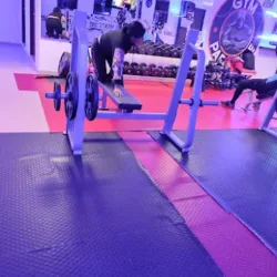 GYM PARADYSE