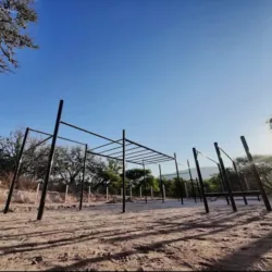 Scorpion Calisthenics