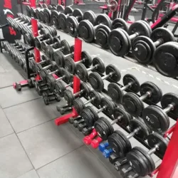 MAKELUFITNESS GIMNASIO