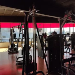 Training Zone Forjadores