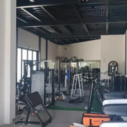 Dragons Gym