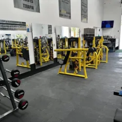 MY GYM