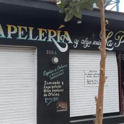 Papeleria LA PALMA