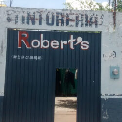 Tintorería Robert's