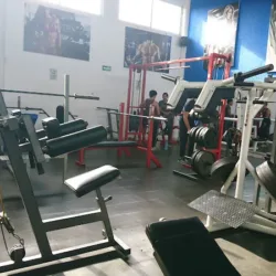 Optimus Fitness Club