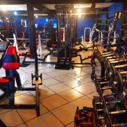 Mad Gym