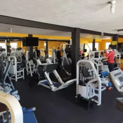 Grizzly Gym