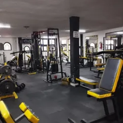 Power Gym