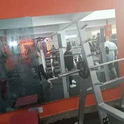 VINIS GYM