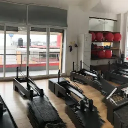 Physiolates México