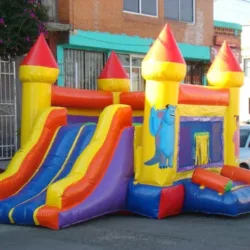 Inflables Puchinos Tepeaca