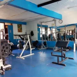 Pedro's Gym