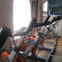 Sport Center Quality Gym, YRsalon unisex, Purificadora Vig Cast, Canela's spa