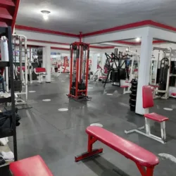 Performance GYM