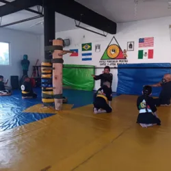 AMM Ortiz V Jitsu Ryu