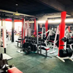 LION vs LION GYM