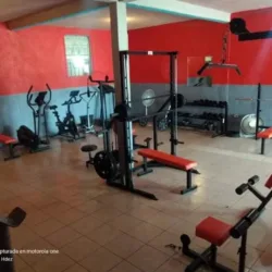 Omega's Gym