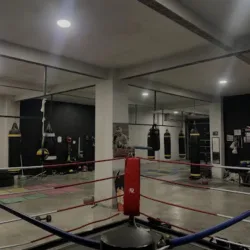 DLTD BOX