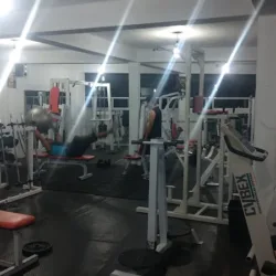 Bull Gym