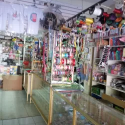 Papelería Alcocer