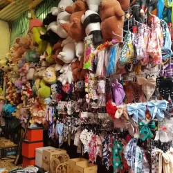 Mercado Viejo Zinacantan