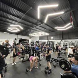 GO FIT