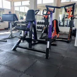 Evolution Gym