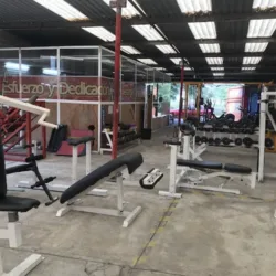 Buenavista Gym