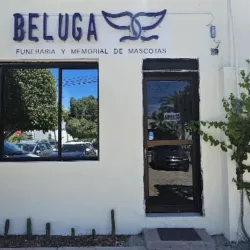BELUGA Funeraria y Memorial para Mascotas