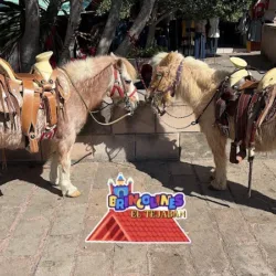 Brincolines El Tejaban