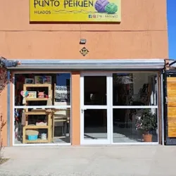 Punto Pehuen