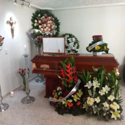 Servicios funerarios santosperegrinos.com