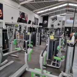Shield Fitness