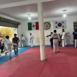 Academia de Taekwondo Taekyon de México