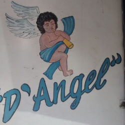 D' Angel